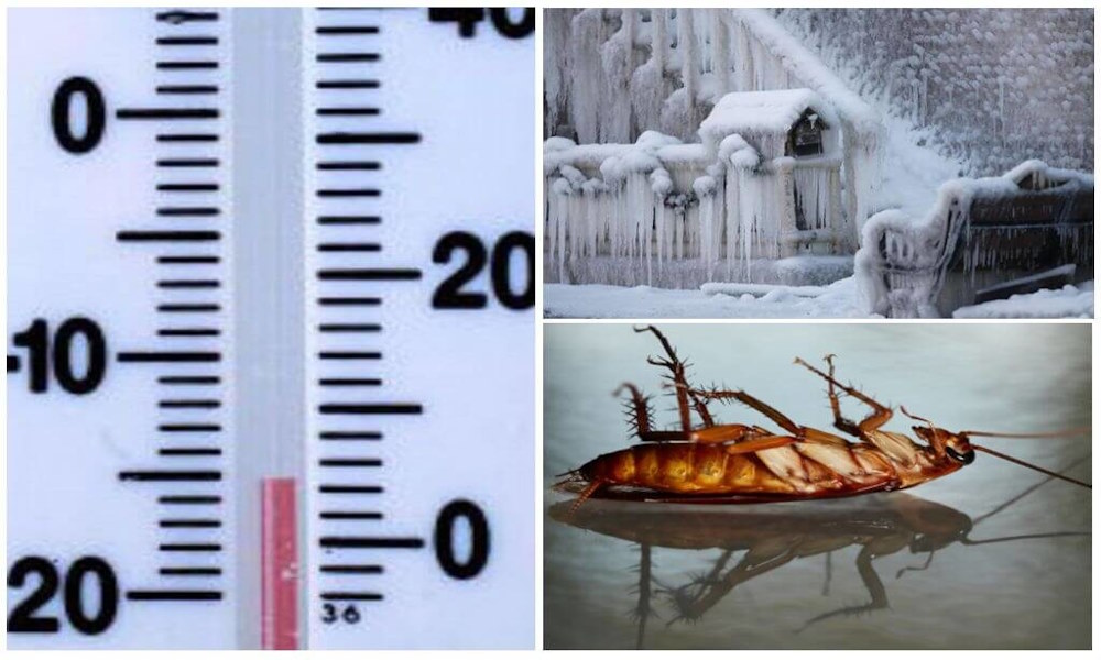 Можно ли нагрузку при температуре. Допустимый перегрев трансформатора. Зависимость влажности воздуха от температуры таблица. Таблица расчета кабеля по сечению. Температура хранения холодных продуктов.