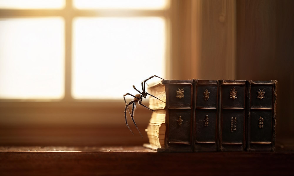 Почему регулярная уборка — залог успешной борьбы с большинством насекомых