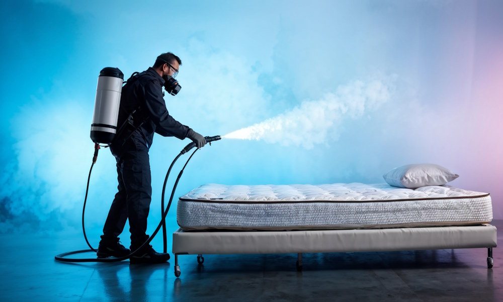 Почему клопы выживают после обработки: разбор резистентности 2026