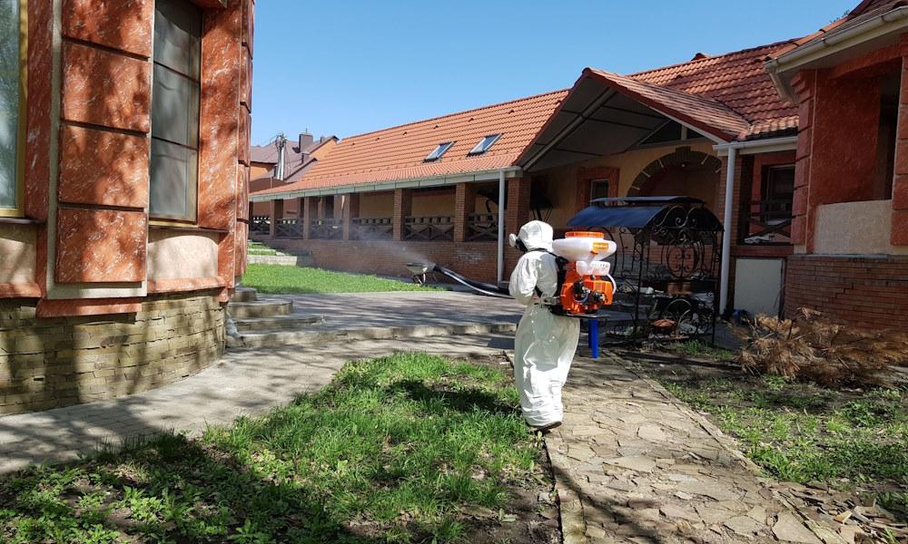 Устранение мышиных запахов в подвалах: курский опыт