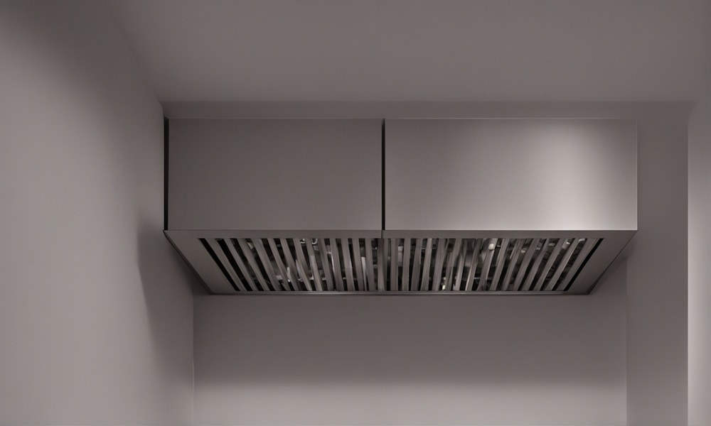 Как муравьи проникают в панельные дома: подробный разбор путей вторжения