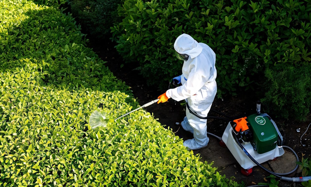 Клещи на даче: обработка участка от паразитов для безопасного отдыха